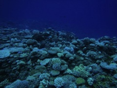Click for image